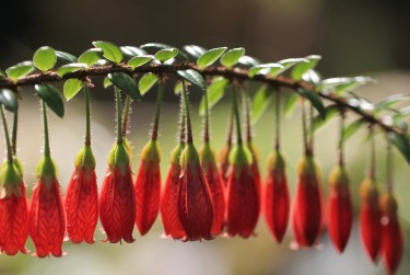 中山横栏私人快速借钱网，轻松解决资金难题