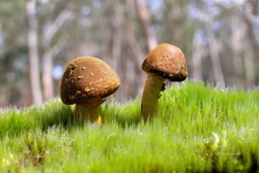 中山横栏私人老板放款：轻松融资的秘密通道